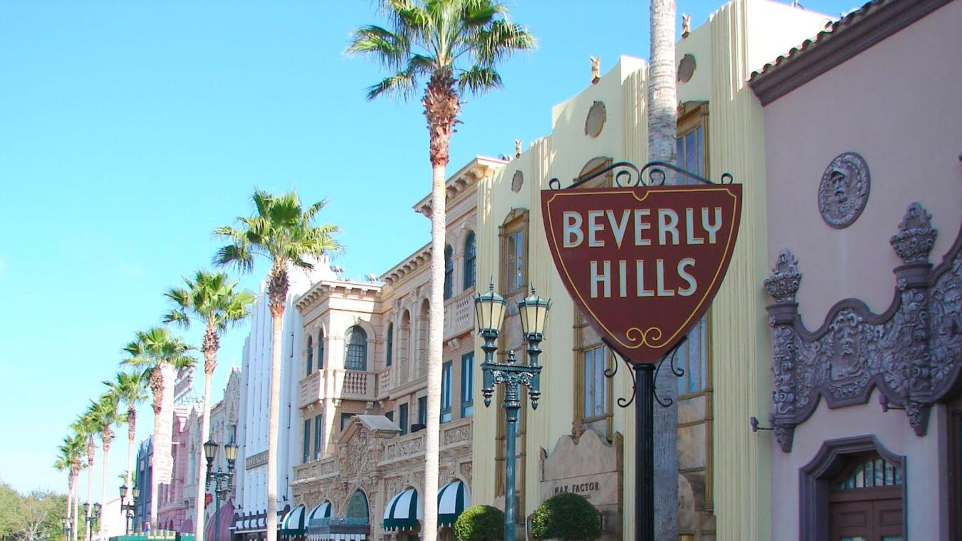 Quelles sont les caractéristiques de sécurité les plus courantes dans les maisons de Beverly Hills ?